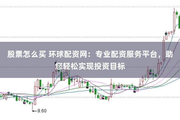 股票怎么买 环球配资网：专业配资服务平台，助您轻松实现投资目标