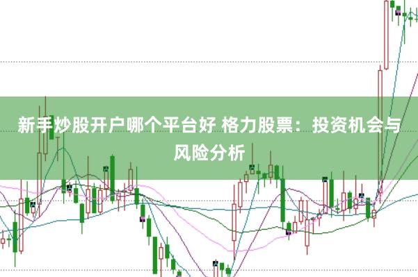 新手炒股开户哪个平台好 格力股票：投资机会与风险分析