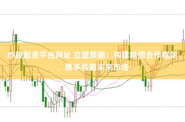 炒股配资平台网址 立盟策略：构建稳固合作框架，携手共赢未来市场