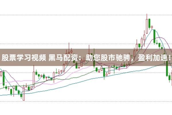股票学习视频 黑马配资：助您股市驰骋，盈利加速！