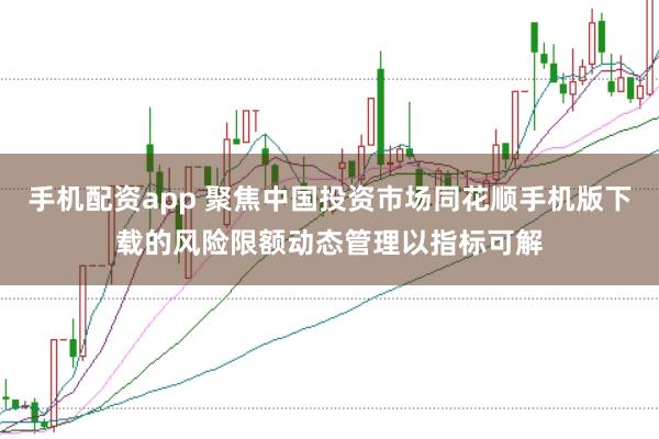 手机配资app 聚焦中国投资市场同花顺手机版下载的风险限额动态管理以指标可解