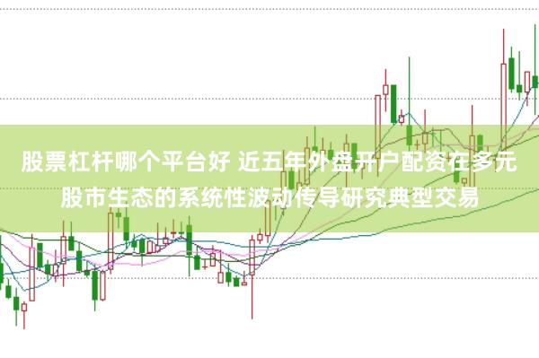 股票杠杆哪个平台好 近五年外盘开户配资在多元股市生态的系统性波动传导研究典型交易