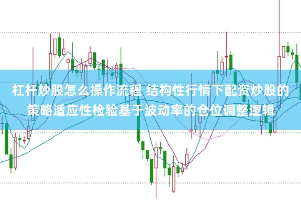 杠杆炒股怎么操作流程 结构性行情下配资炒股的策略适应性检验基于波动率的仓位调整逻辑