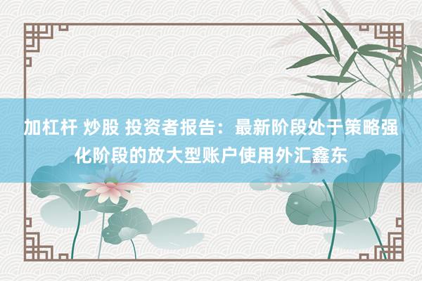 加杠杆 炒股 投资者报告：最新阶段处于策略强化阶段的放大型账户使用外汇鑫东