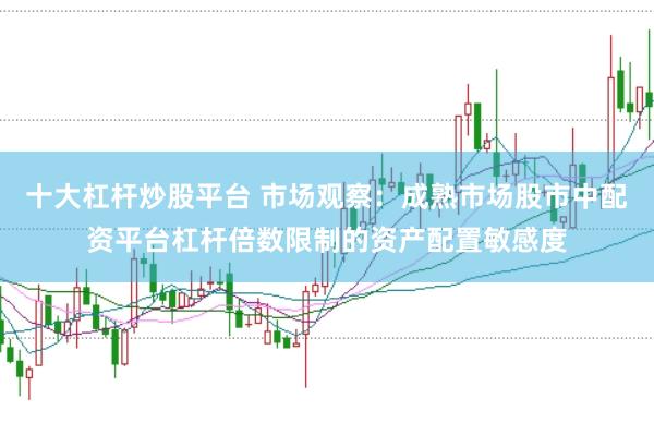 十大杠杆炒股平台 市场观察：成熟市场股市中配资平台杠杆倍数限制的资产配置敏感度