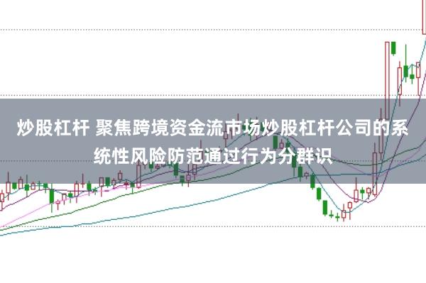 炒股杠杆 聚焦跨境资金流市场炒股杠杆公司的系统性风险防范通过行为分群识