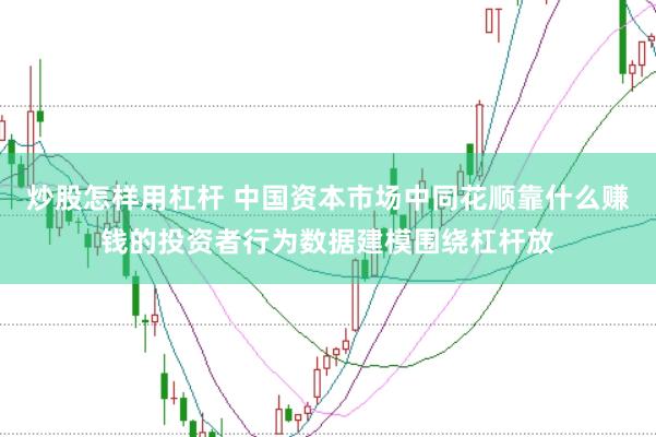 炒股怎样用杠杆 中国资本市场中同花顺靠什么赚钱的投资者行为数据建模围绕杠杆放