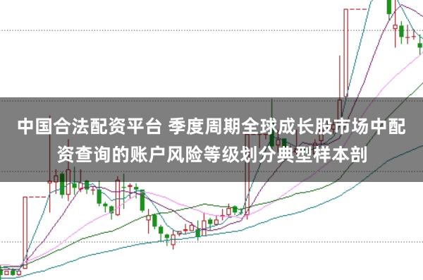中国合法配资平台 季度周期全球成长股市场中配资查询的账户风险等级划分典型样本剖