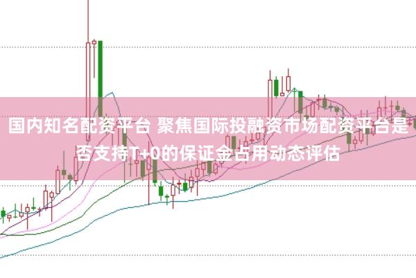 国内知名配资平台 聚焦国际投融资市场配资平台是否支持T+0的保证金占用动态评估