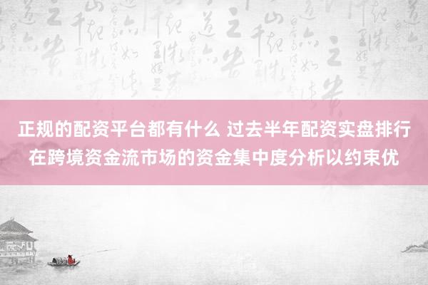 正规的配资平台都有什么 过去半年配资实盘排行在跨境资金流市场的资金集中度分析以约束优