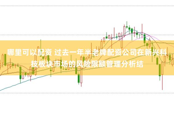 哪里可以配资 过去一年半老牌配资公司在新兴科技板块市场的风险限额管理分析结