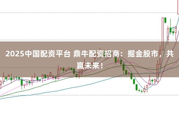 2025中国配资平台 鼎牛配资招商：掘金股市，共赢未来！