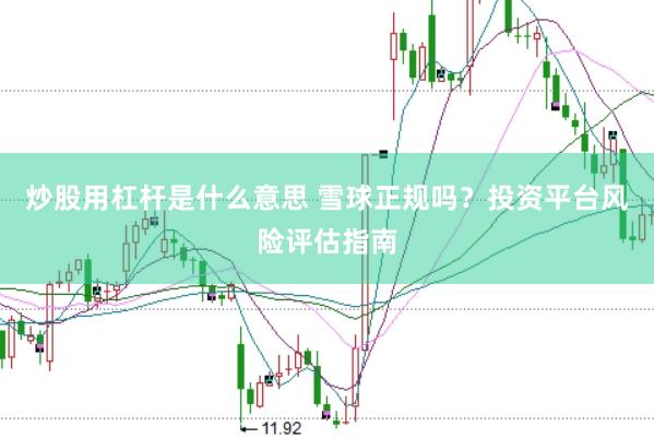 炒股用杠杆是什么意思 雪球正规吗？投资平台风险评估指南