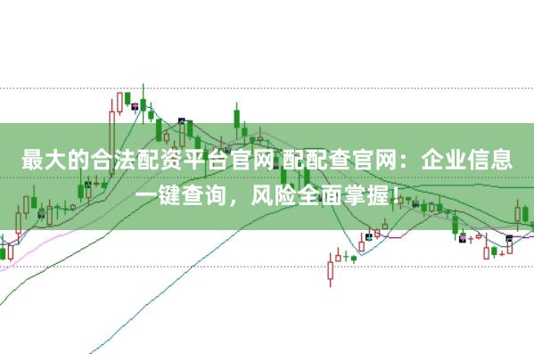最大的合法配资平台官网 配配查官网：企业信息一键查询，风险全面掌握！