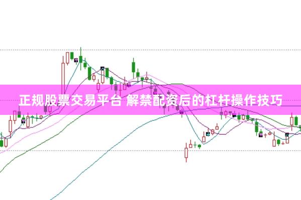 正规股票交易平台 解禁配资后的杠杆操作技巧