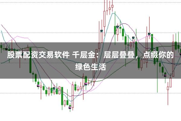 股票配资交易软件 千层金：层层叠叠，点缀你的绿色生活