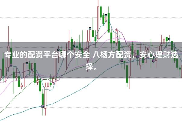 专业的配资平台哪个安全 八杨方配资，安心理财选择。