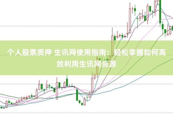 个人股票质押 生讯网使用指南：轻松掌握如何高效利用生讯网资源