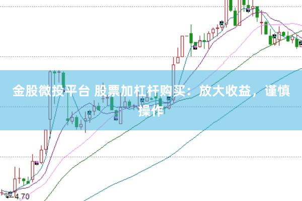 金股微投平台 股票加杠杆购买：放大收益，谨慎操作
